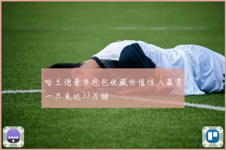 哈兰德奢华包包收藏价值惊人最贵一只竟达33万镑