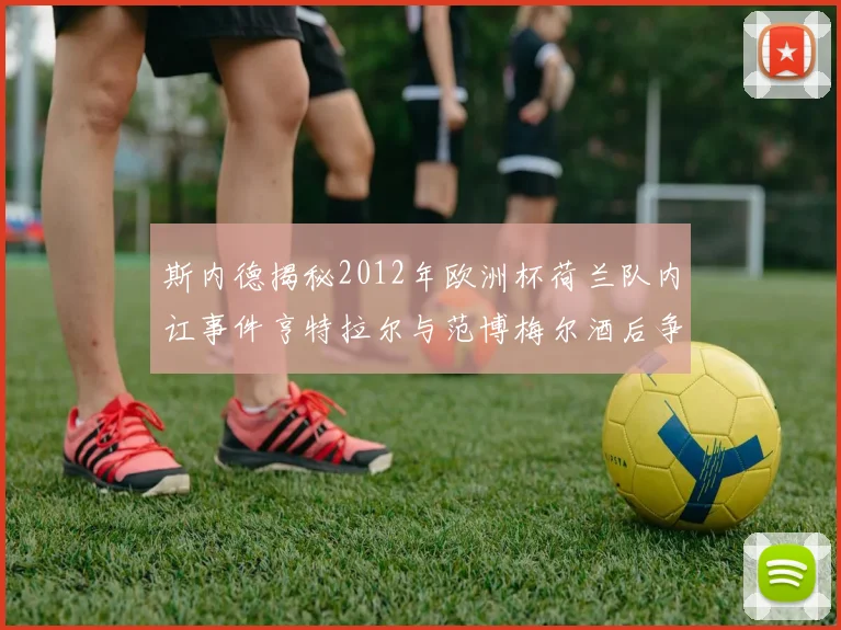 斯内德揭秘2012年欧洲杯荷兰队内讧事件亨特拉尔与范博梅尔酒后争执内幕