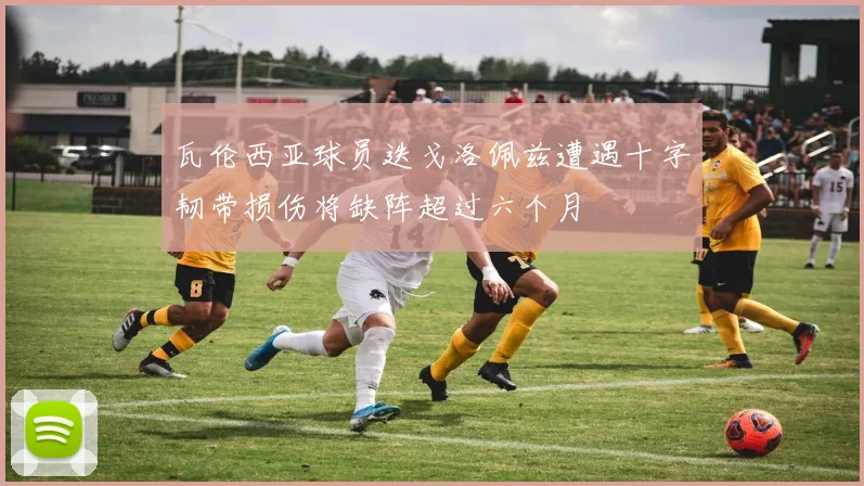 瓦伦西亚球员迭戈洛佩兹遭遇十字韧带损伤将缺阵超过六个月